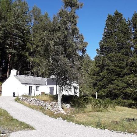 Torgoyle Cottage إينفيرنيس المظهر الخارجي الصورة