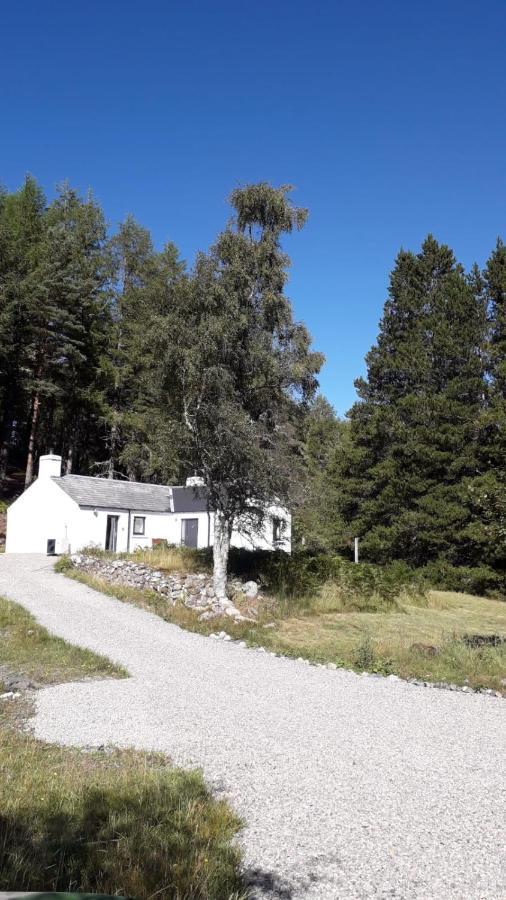 Torgoyle Cottage إينفيرنيس المظهر الخارجي الصورة